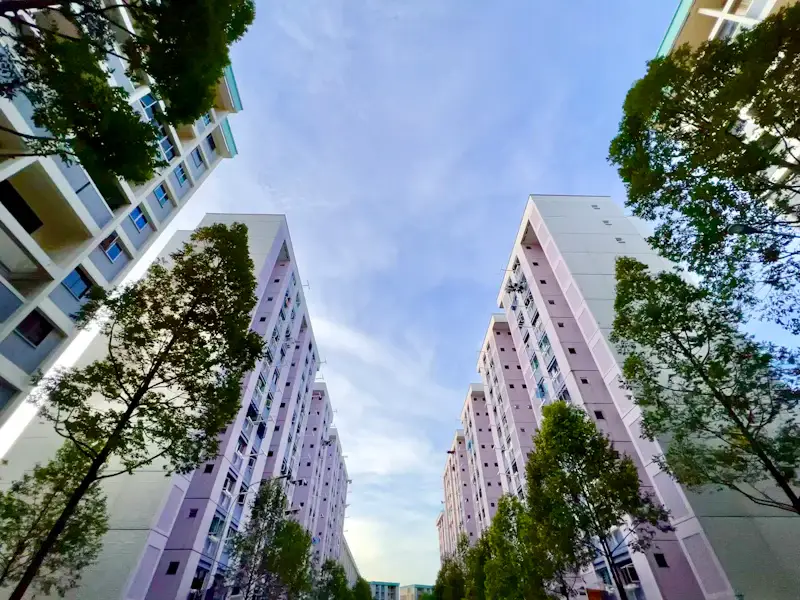 The Ultimate HDB Renovation Timeline: What No One Tells You Before You Start